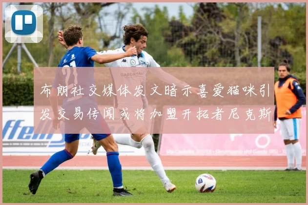 布朗社交媒体发文暗示喜爱猫咪引发交易传闻或将加盟开拓者尼克斯雷霆湖人